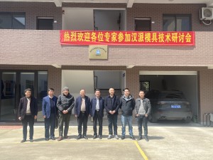 我公司請專家分析環模鍛件到生産熱處理