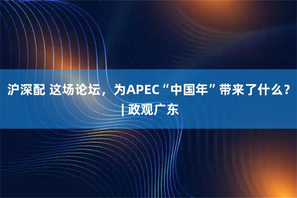 沪深配 这场论坛，为APEC“中国年”带来了什么？ | 政观广东