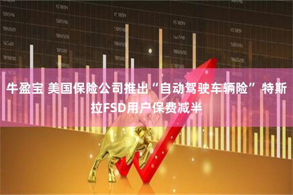 牛盈宝 美国保险公司推出“自动驾驶车辆险” 特斯拉FSD用户保费减半