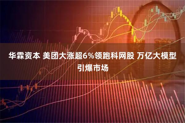 华霖资本 美团大涨超6%领跑科网股 万亿大模型引爆市场