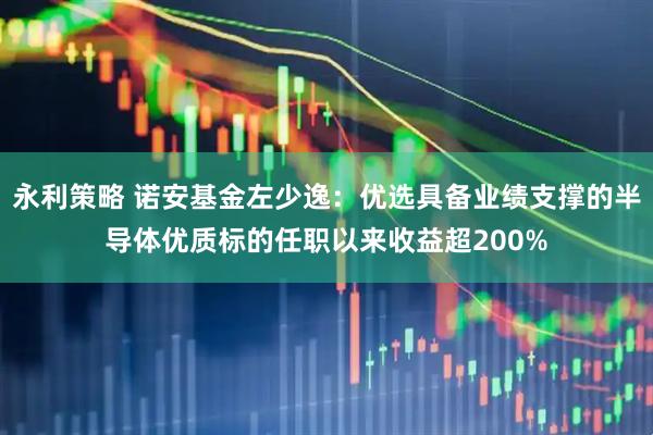 永利策略 诺安基金左少逸：优选具备业绩支撑的半导体优质标的任职以来收益超200%